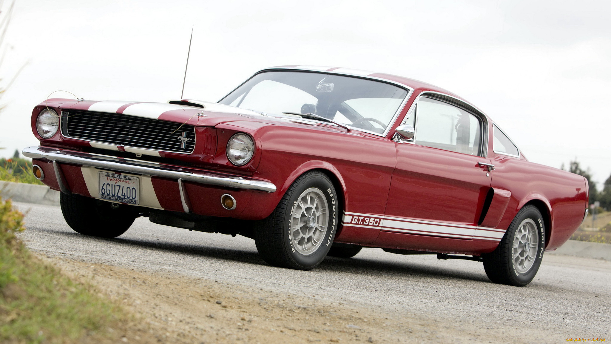 ford, mustang, , , , , motor, company